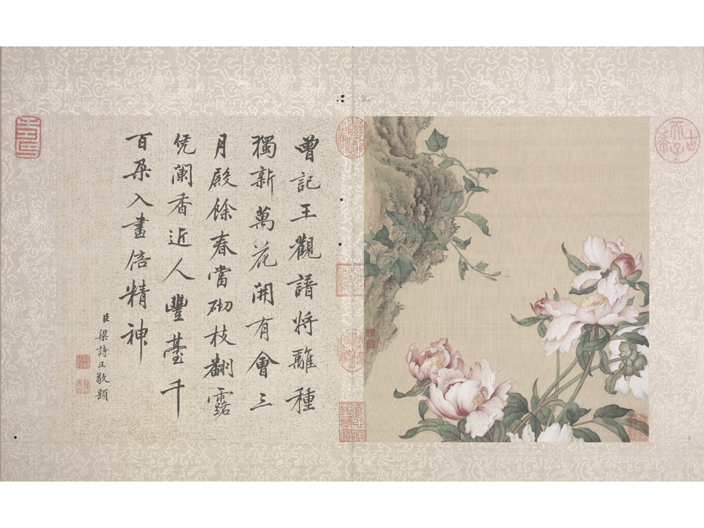 图片[6]-Lang Shining Flowers and Birds Illustrated Books-China Archive